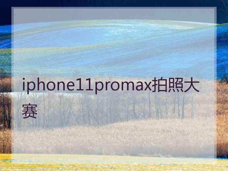 iphone11promax拍照大赛