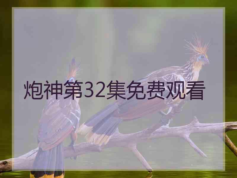 炮神第32集免费观看