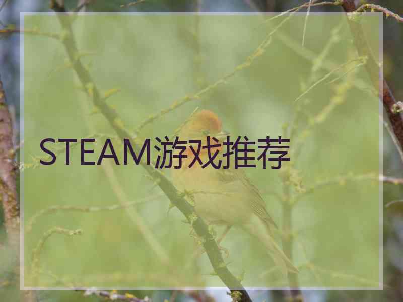 STEAM游戏推荐