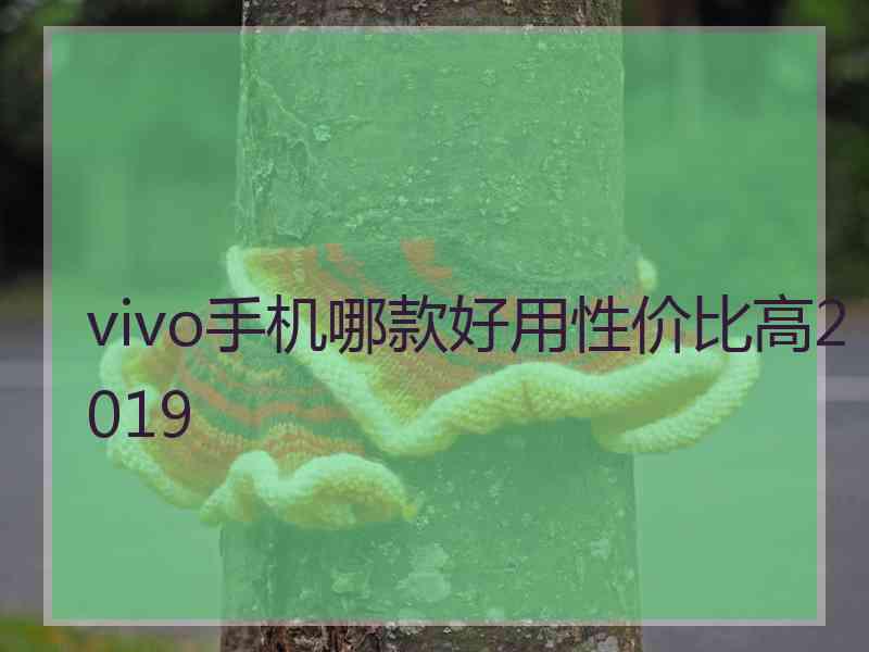 vivo手机哪款好用性价比高2019