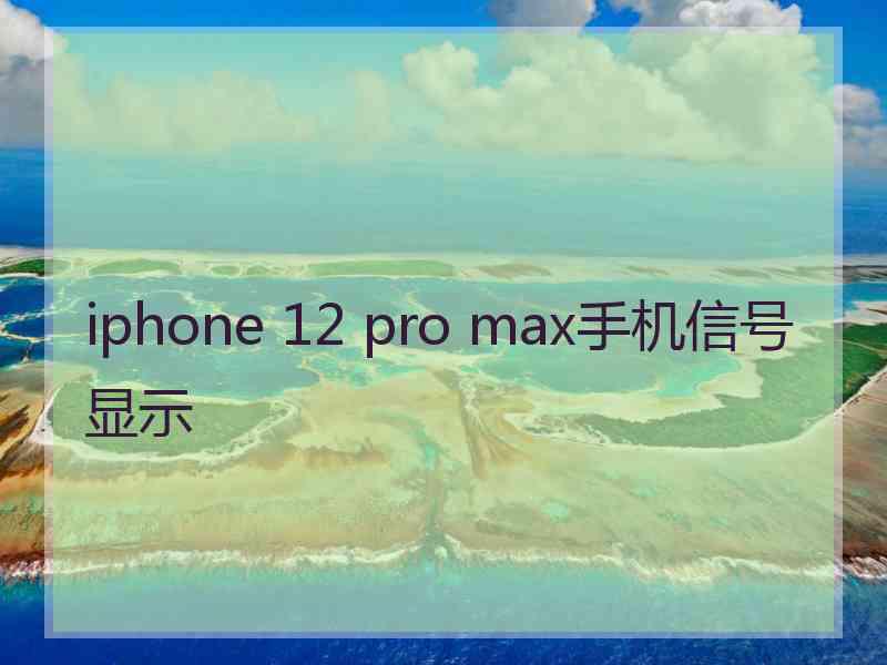 iphone 12 pro max手机信号显示