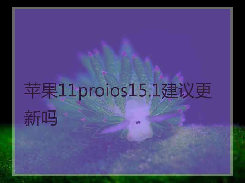 苹果11proios15.1建议更新吗