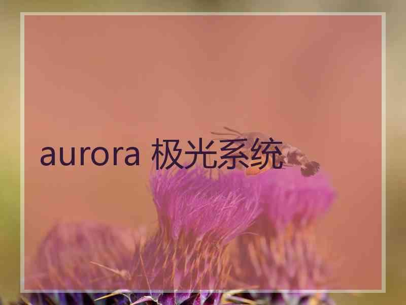 aurora 极光系统