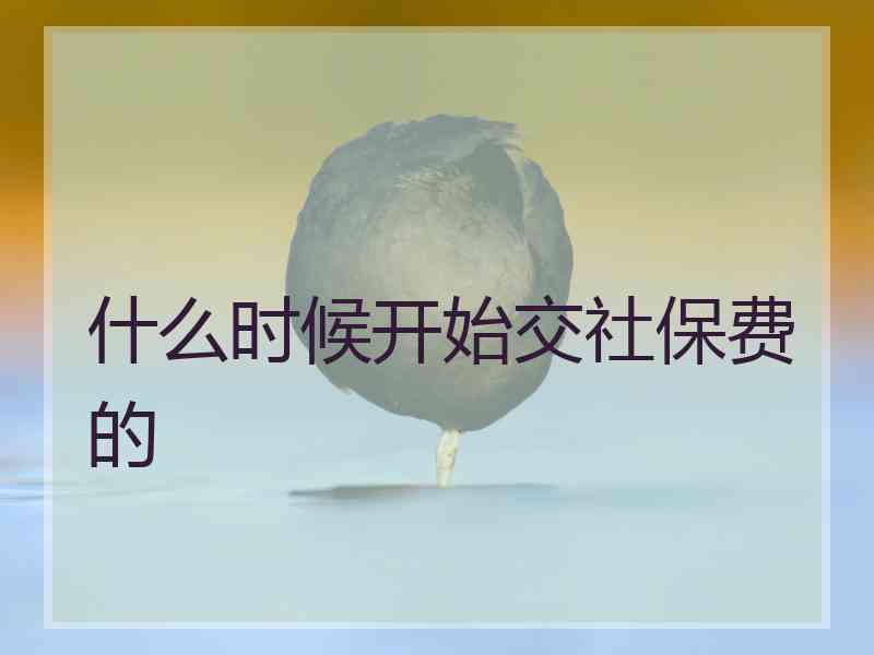 什么时候开始交社保费的