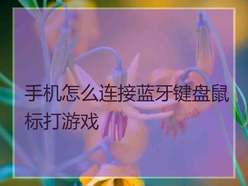 手机怎么连接蓝牙键盘鼠标打游戏