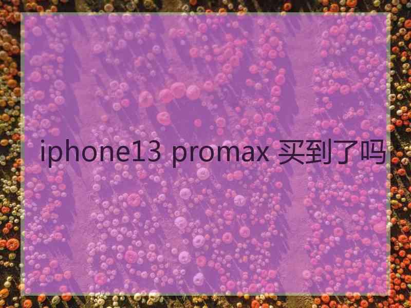 iphone13 promax 买到了吗