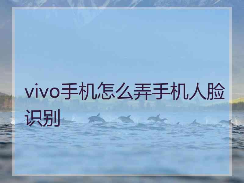 vivo手机怎么弄手机人脸识别