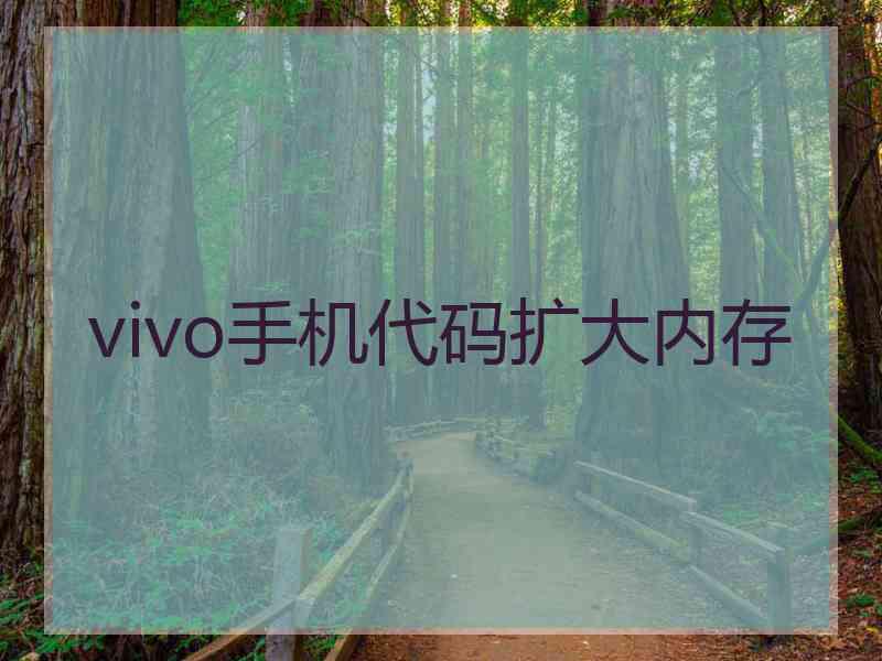 vivo手机代码扩大内存