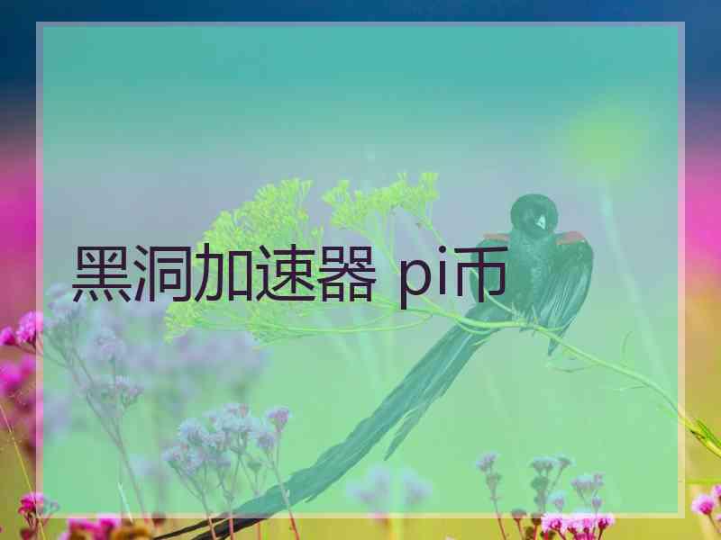 黑洞加速器 pi币