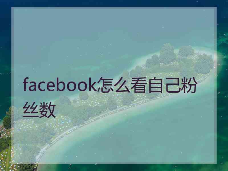 facebook怎么看自己粉丝数