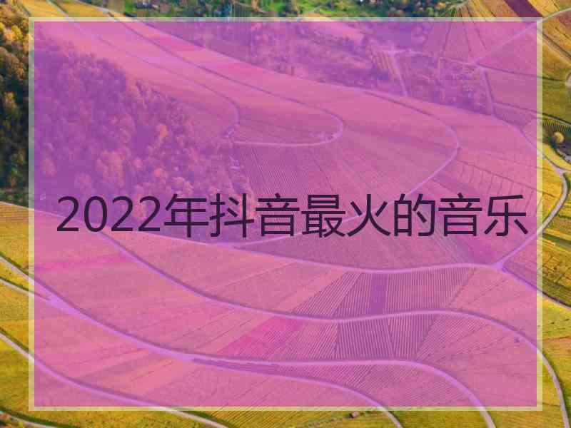 2022年抖音最火的音乐