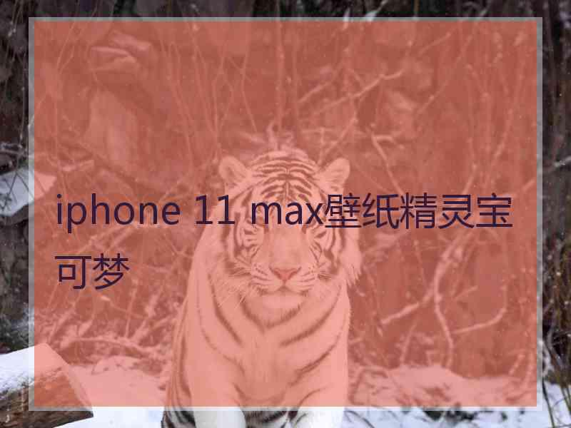 iphone 11 max壁纸精灵宝可梦