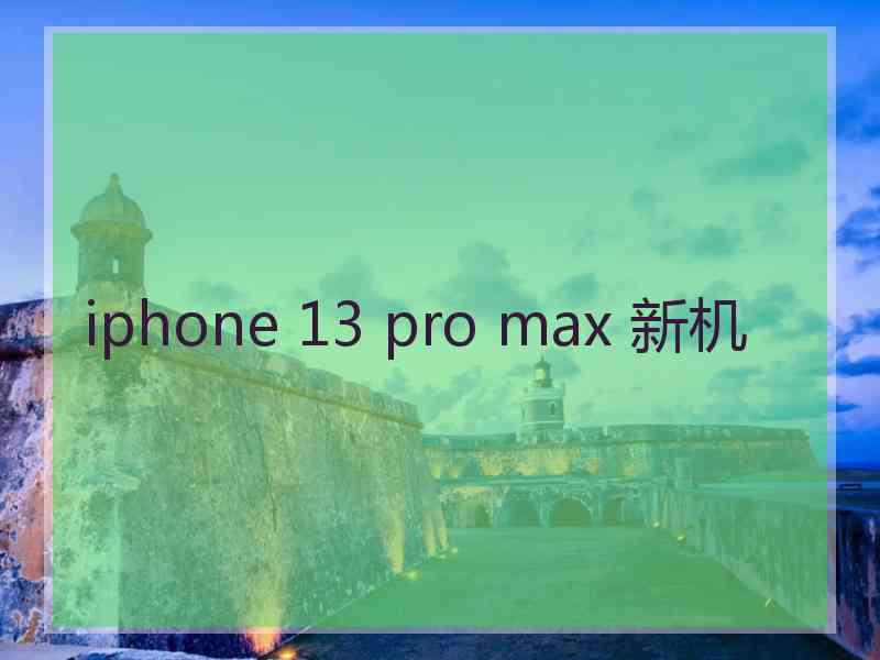 iphone 13 pro max 新机