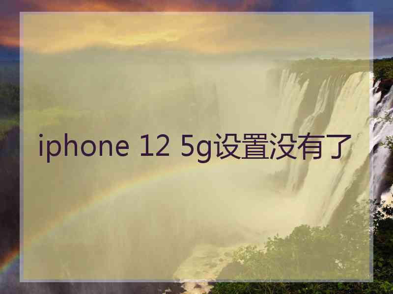 iphone 12 5g设置没有了