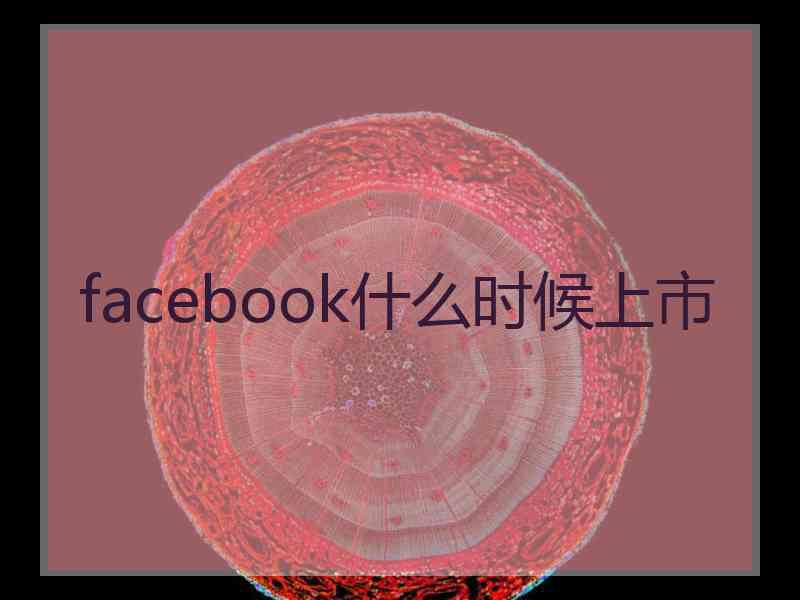 facebook什么时候上市