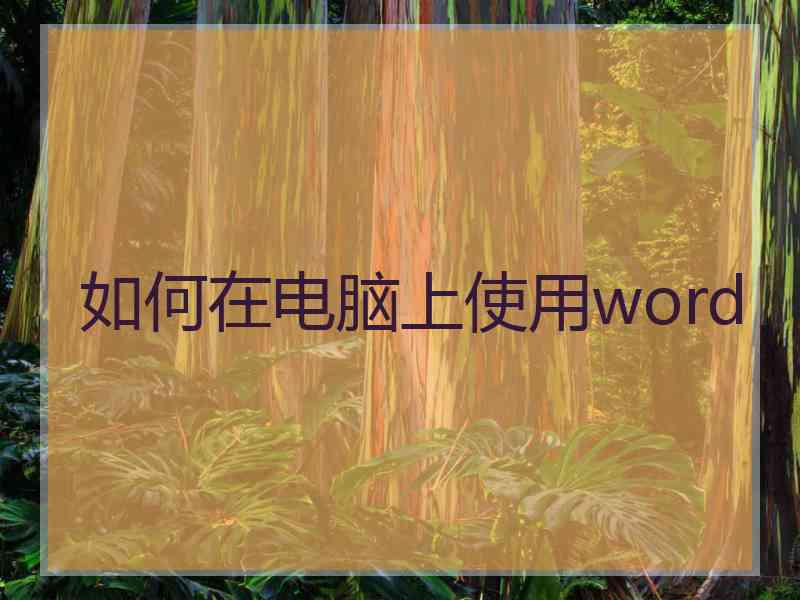 如何在电脑上使用word