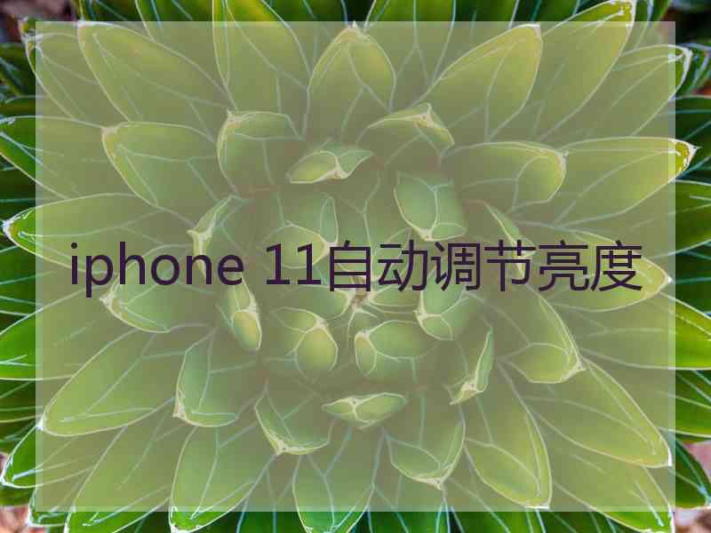 iphone 11自动调节亮度