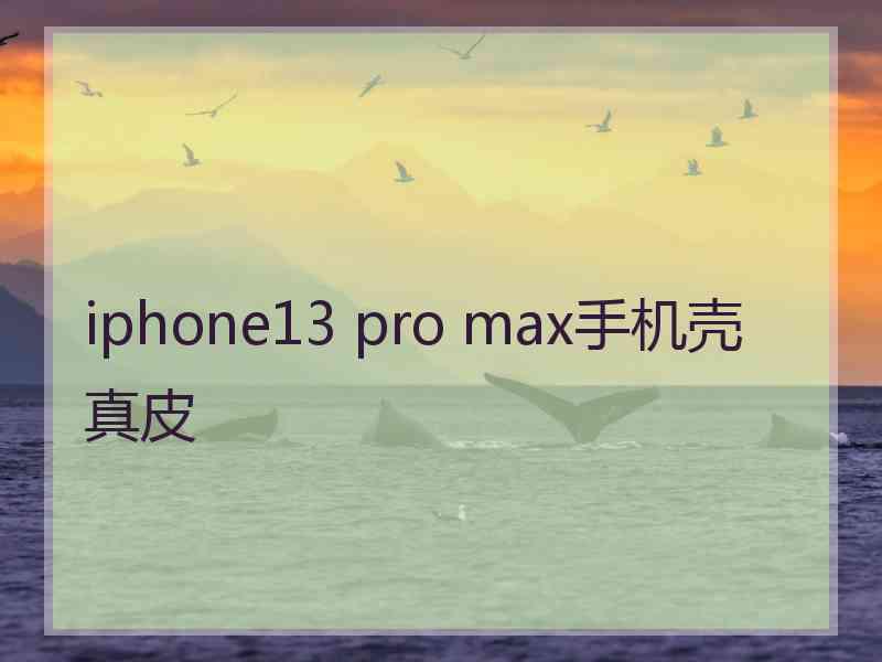 iphone13 pro max手机壳 真皮