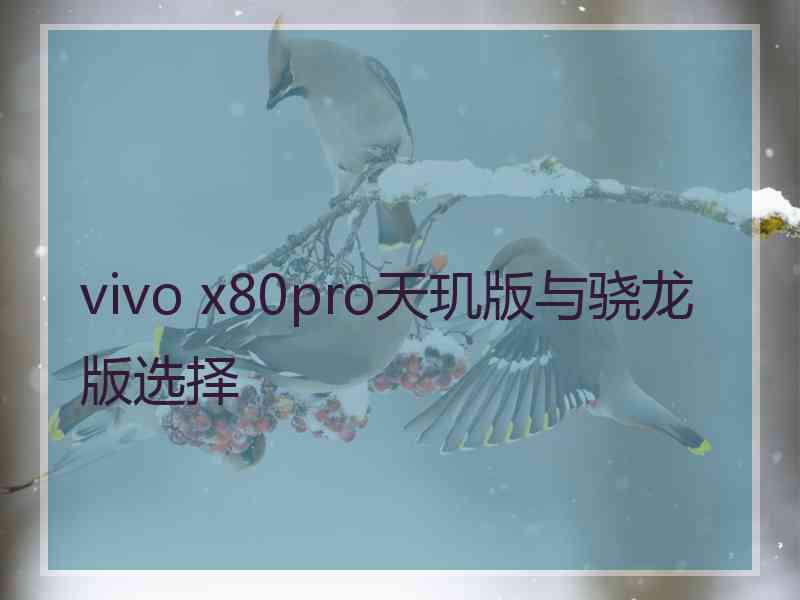 vivo x80pro天玑版与骁龙版选择