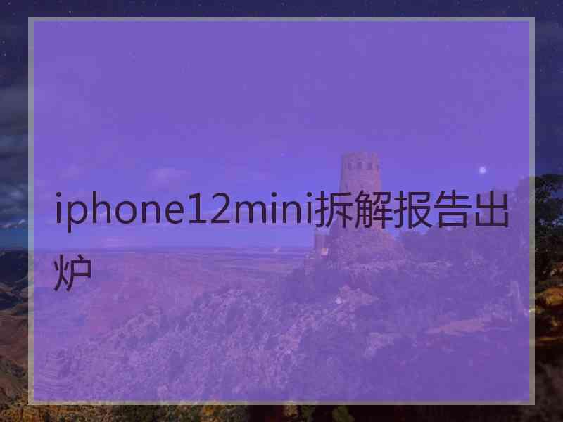 iphone12mini拆解报告出炉