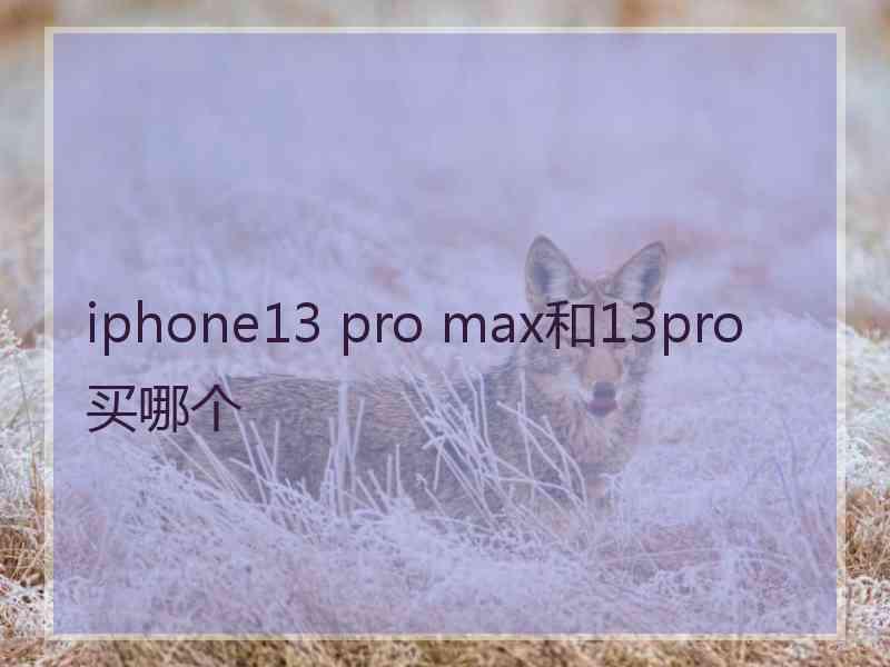 iphone13 pro max和13pro买哪个