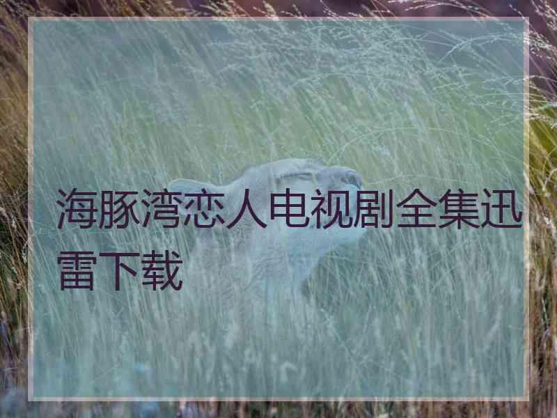 海豚湾恋人电视剧全集迅雷下载