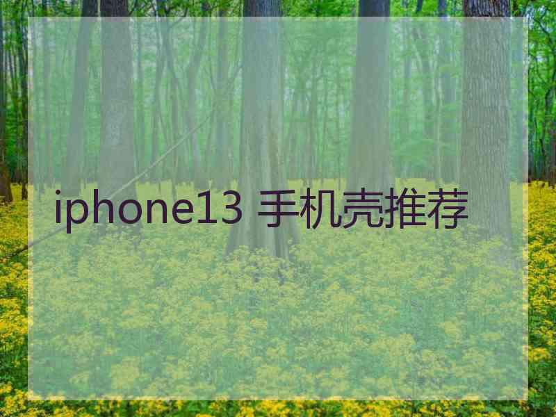 iphone13 手机壳推荐