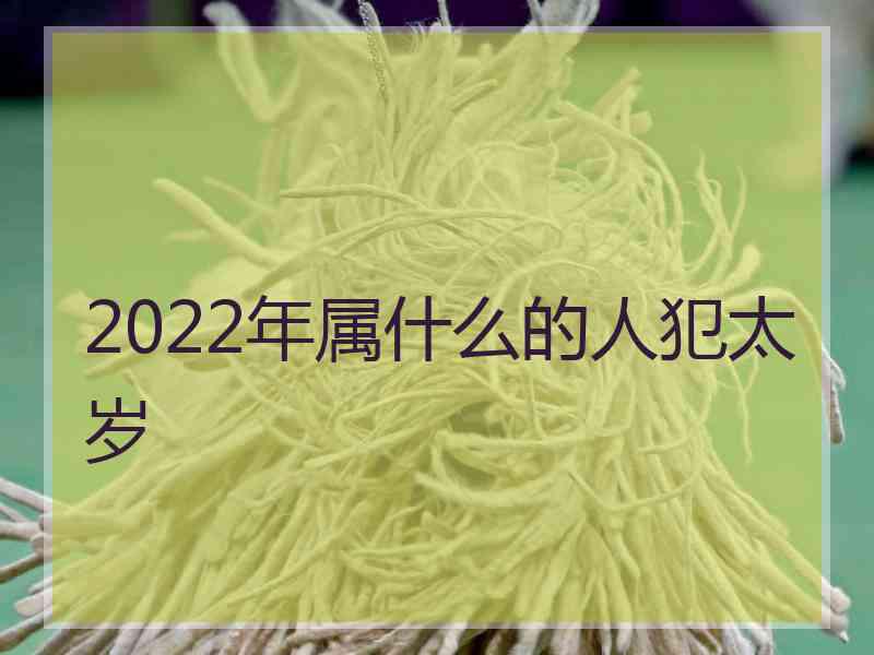 2022年属什么的人犯太岁