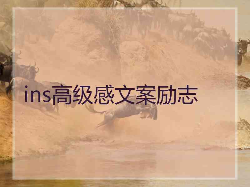 ins高级感文案励志