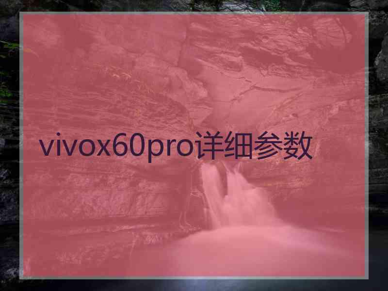 vivox60pro详细参数