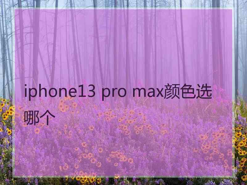 iphone13 pro max颜色选哪个