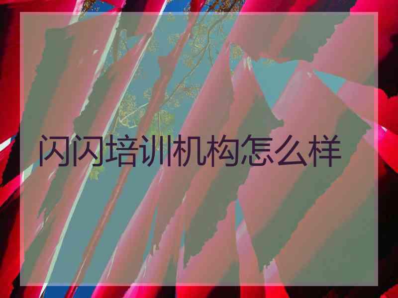 闪闪培训机构怎么样