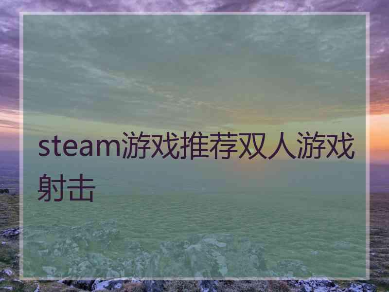 steam游戏推荐双人游戏射击