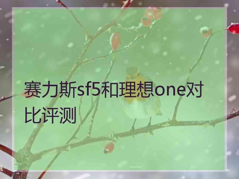 赛力斯sf5和理想one对比评测