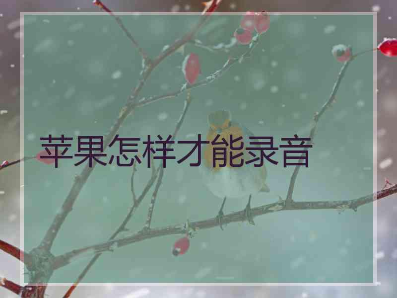 苹果怎样才能录音