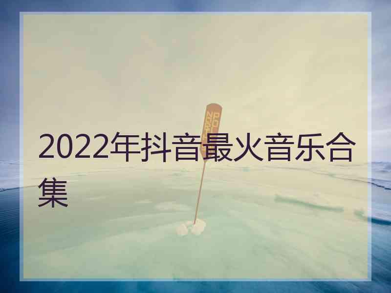 2022年抖音最火音乐合集