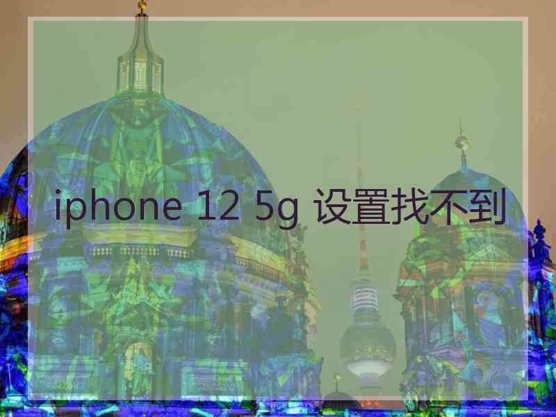 iphone 12 5g 设置找不到