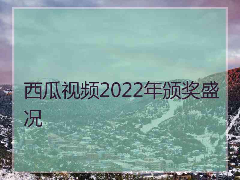 西瓜视频2022年颁奖盛况